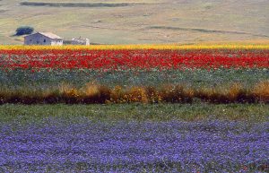 piane-castelluccio