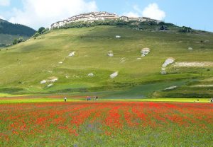 Castelluccio-di-Norcia
