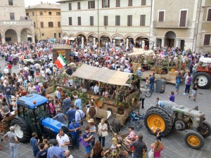 Festa della Vendemmia