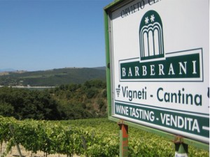 Barberani