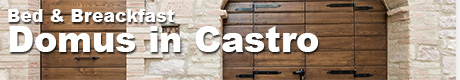 domusincastro_banner