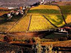 Barbaresco-Umbria