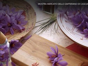 zafferano-di-cascia
