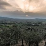 4-concerti-dautunno-_-1