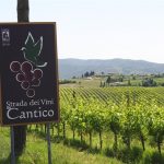 la-strada-dei-vini-del-cantico
