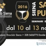 sangiovese-purosangue