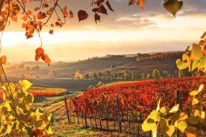 Strada del Sagrantino