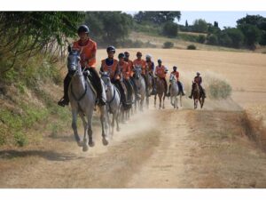 Endurance-equestre-cop