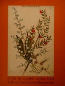 Fiori-di-campo
