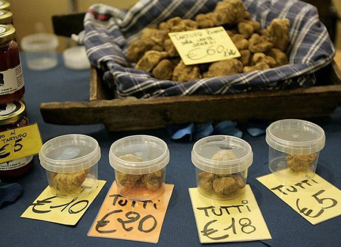 MOSTRA-TARTUFO-GUBBIO-copertina