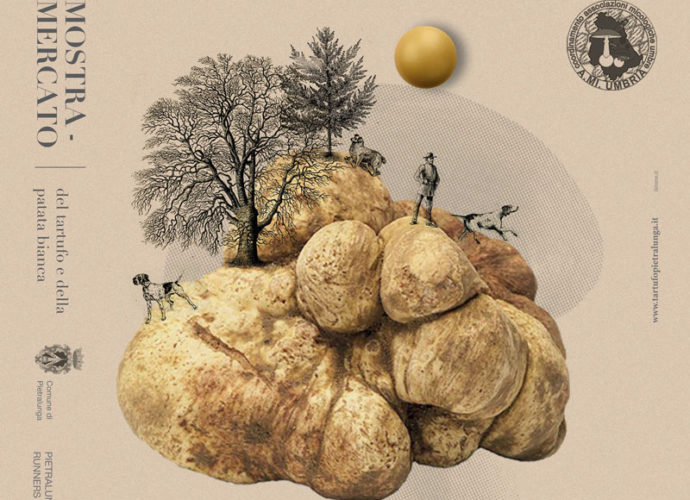 copertina_mostra-micologica