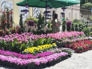 “Spoleto in Fiore”