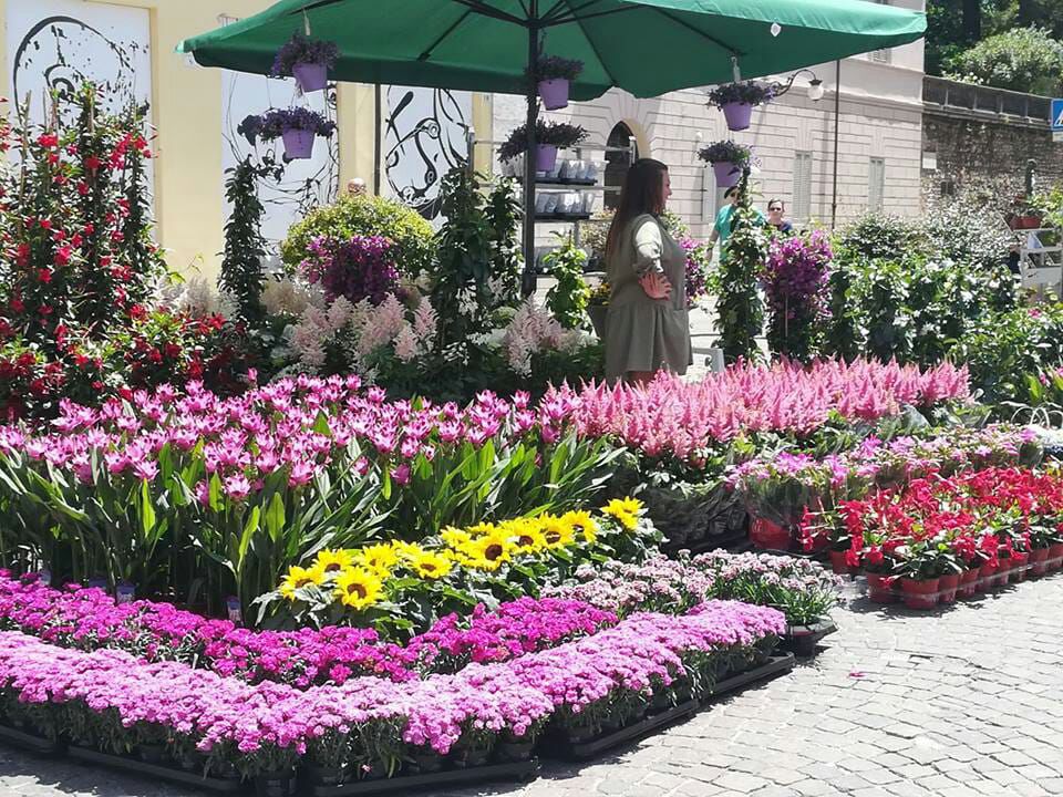 “Spoleto in Fiore”