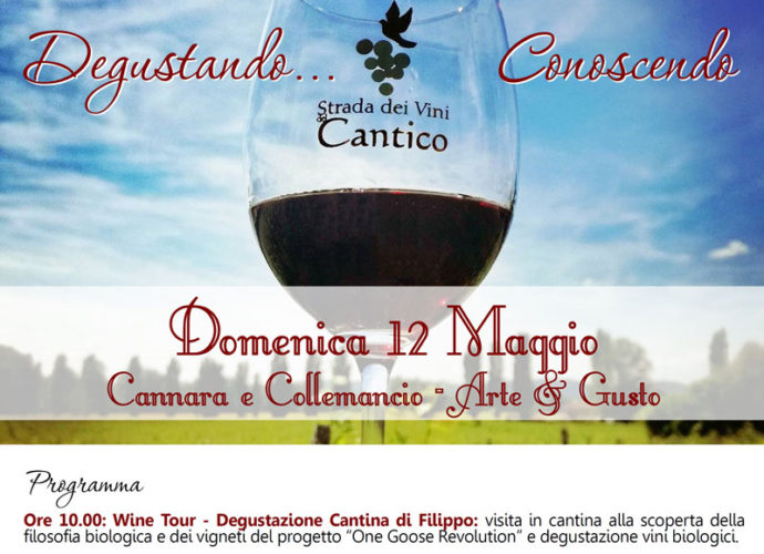 Degustando...-Conoscendo-la-Strada-dei-Vini-del-Cantico-locandina-copertina