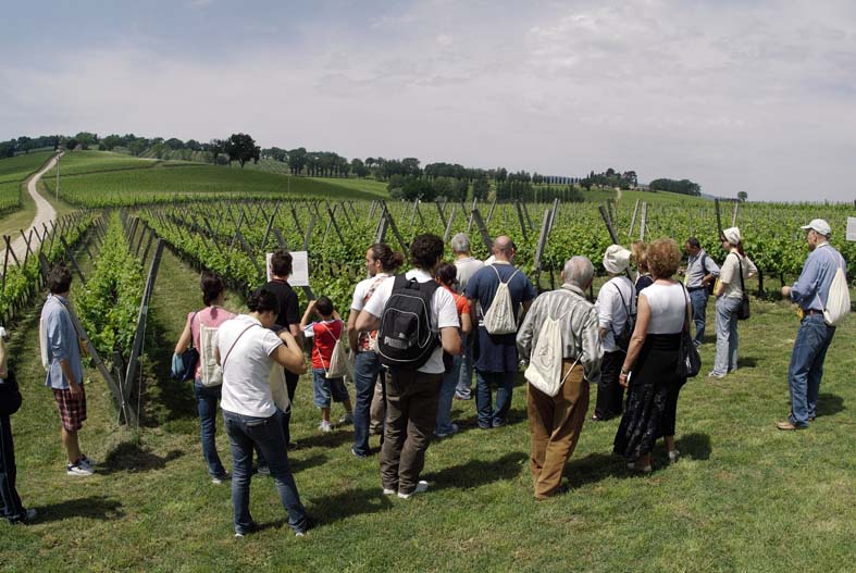Cantine Aperte Umbria
