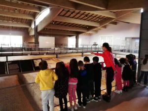 Spello_VMS_didattiche 5