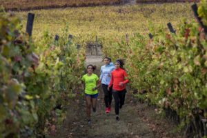 Sagrantino running - vigna