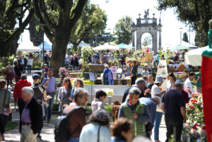 Perugia Flower Show-1