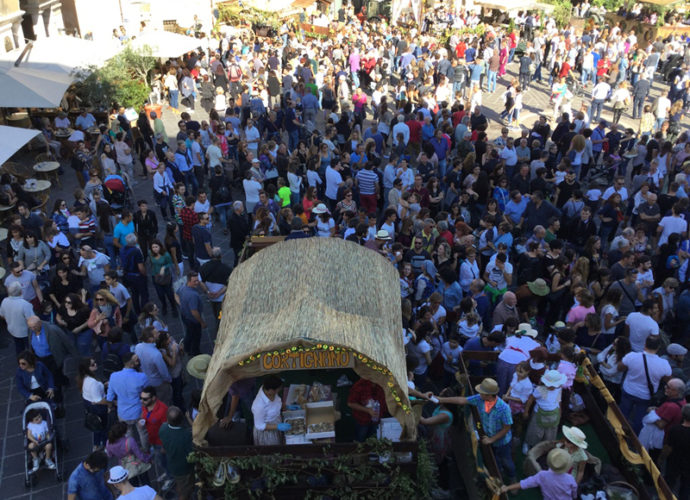 Festa-della-Vendemmia-2019-copertina