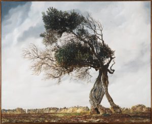 MOO Museo dell'Olivo e dell'Olio - Fondazione Lungarotti, Torgiano (PG) - Renato Balsamo, Ulivo di Puglia, 1984