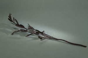 MOO Museo dell'Olivo e dell'Olio - Fondazione Lungarotti, Torgiano (PG) - Vittorio Grassi, Ramo d'olivo, ante 1921