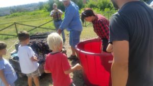 Cantine Aperte in Vendemmia 2019-1