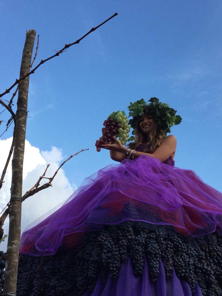 Festa della Vendemmia 2019-3