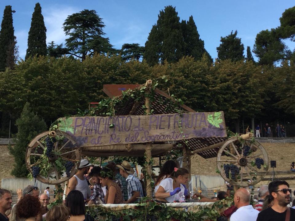 Festa della Vendemmia 2019-1