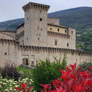 Rocca Flea