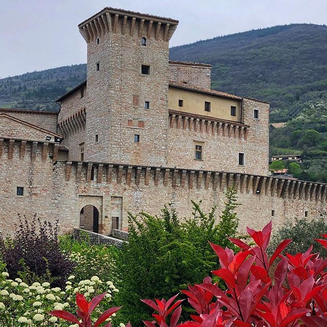 Rocca Flea