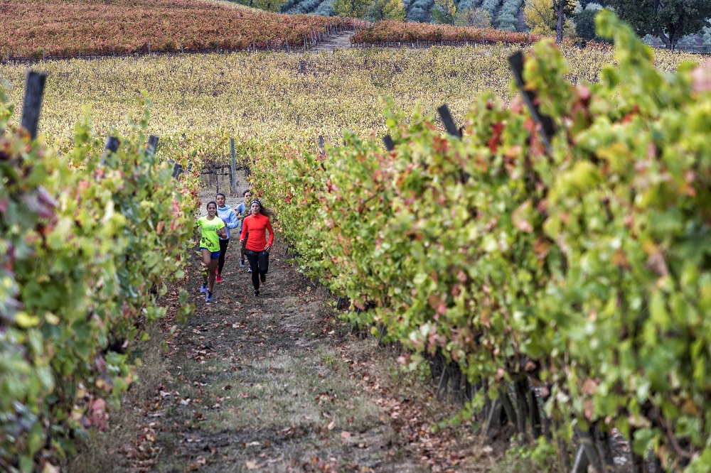 Sagrantino Running Vigna - Foto Maccheroni