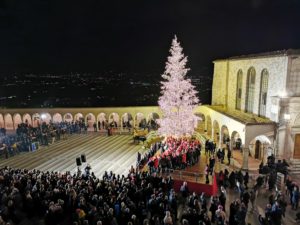 Natale ad Assisi - accensione albero Basilica San Francesco