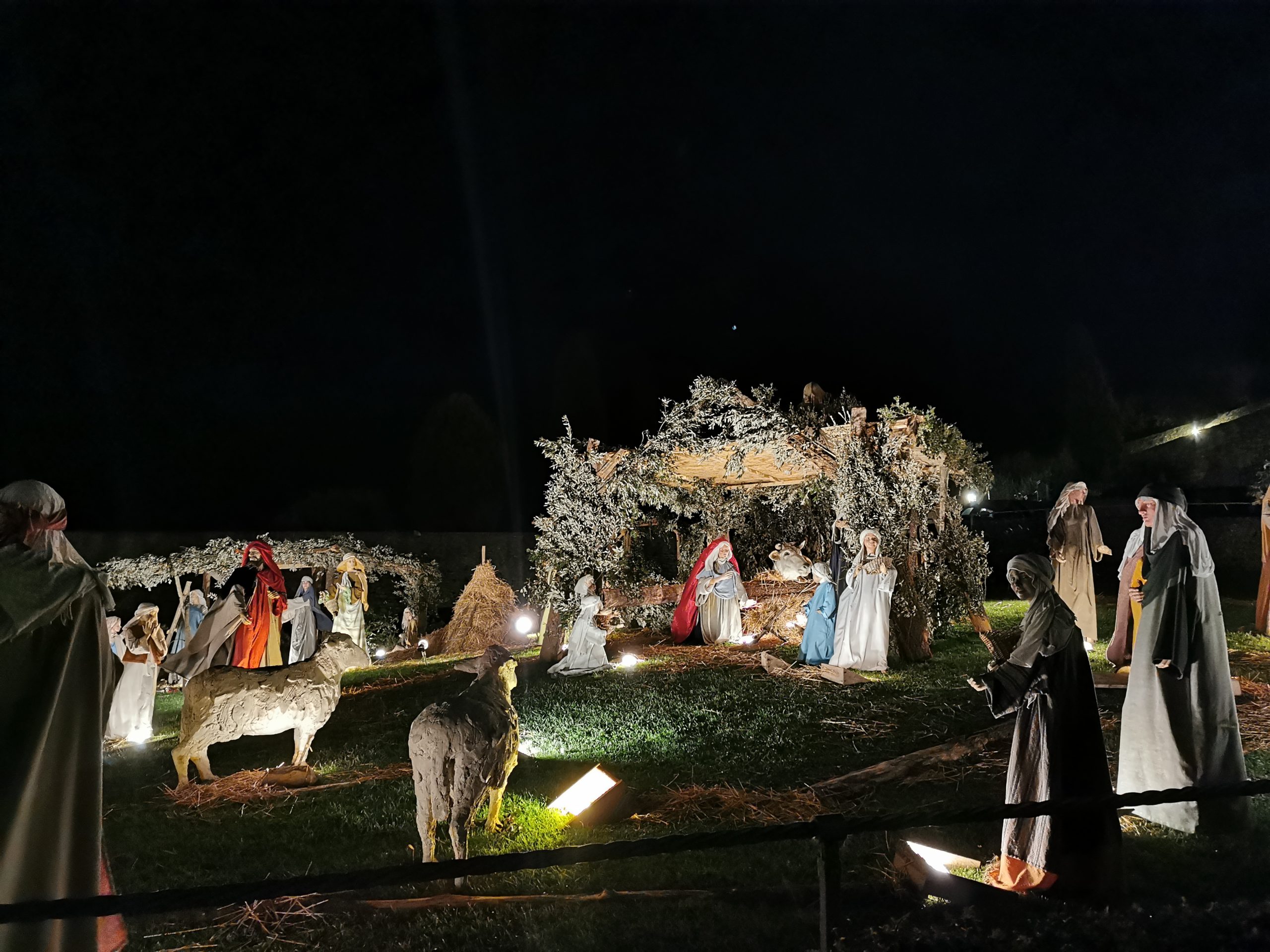 Natale ad Assisi - Basilica di San Francesco