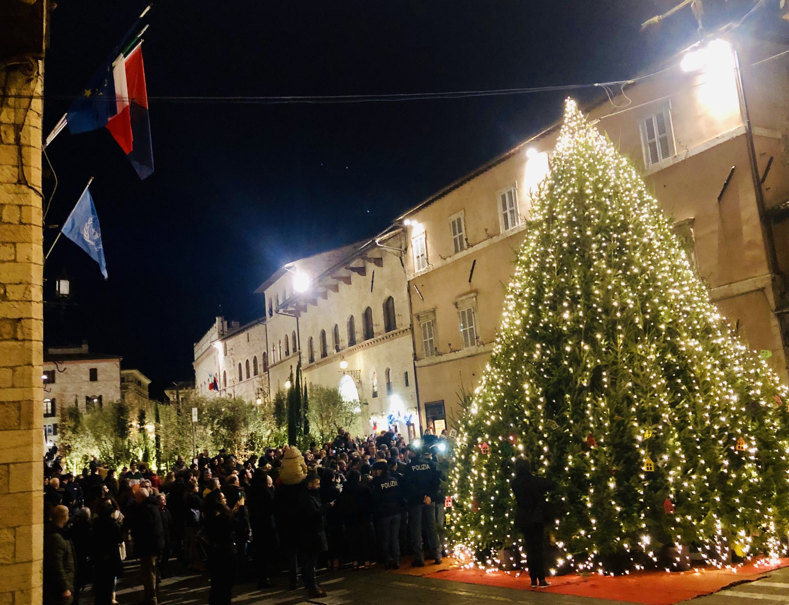 Natale ad Assisi - Ecoalbero