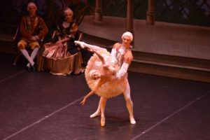 LaBellaAddormentata_RussianClassicalBallet (1)