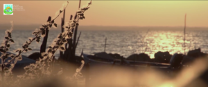 Trasimeno #LaBellezzaCiAspetta-2