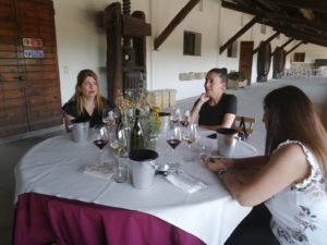 Movimento-Turismo-del-vino-1