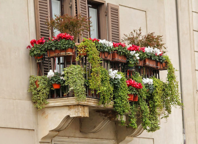 Balcone-fiorito-copertina
