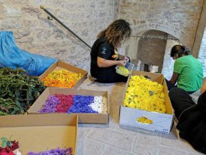 Infiorate di Spello-5