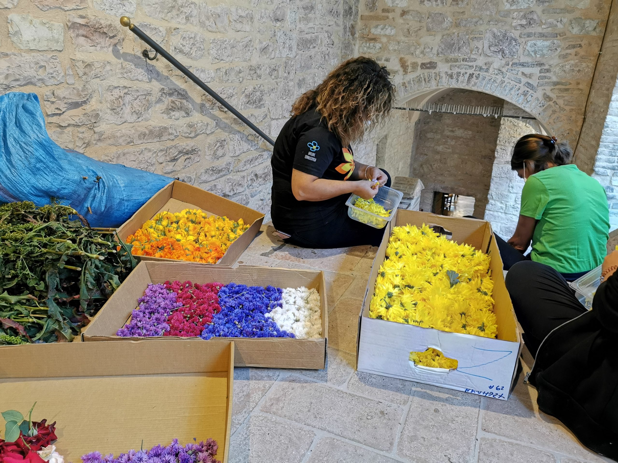 Infiorate di Spello-5