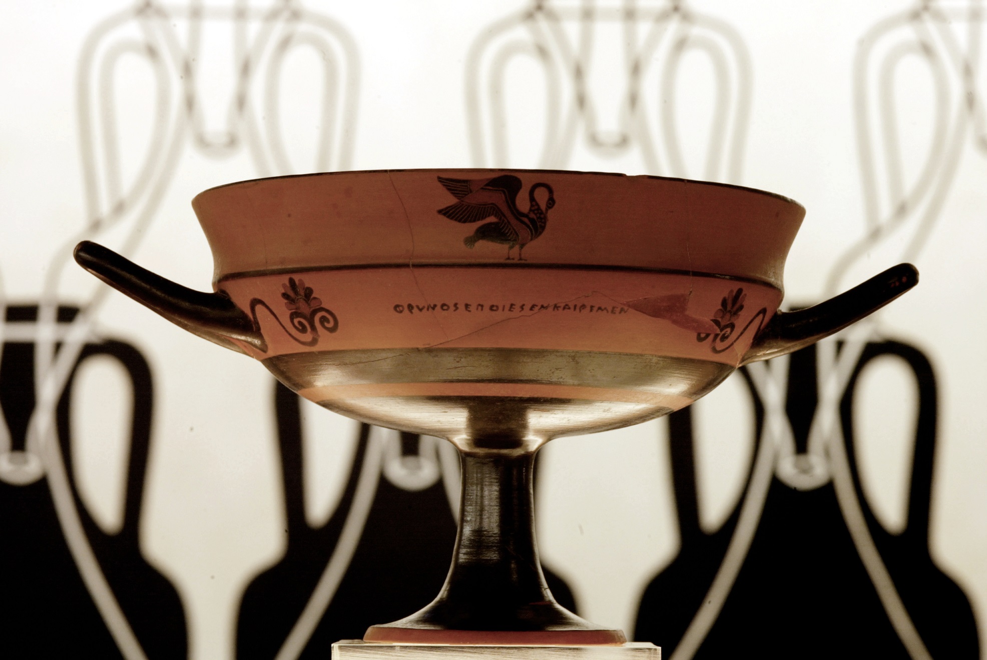 Museo del Vino - Fondazione Lungarotti - Torgiano (Pg) Sala I: "Le origini della viticoltura, l'uso e il commercio del vino in area mediterranea" Phrinos, KYLIX ceramica a figure nere con ritocchi Vulci, metà VI sec. a.C. (inv.87)