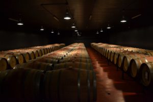 Cantina Lungarotti-Torgiano-2