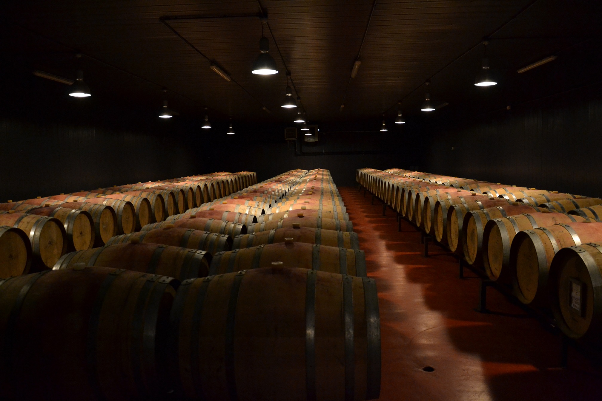 Cantina Lungarotti-Torgiano-2