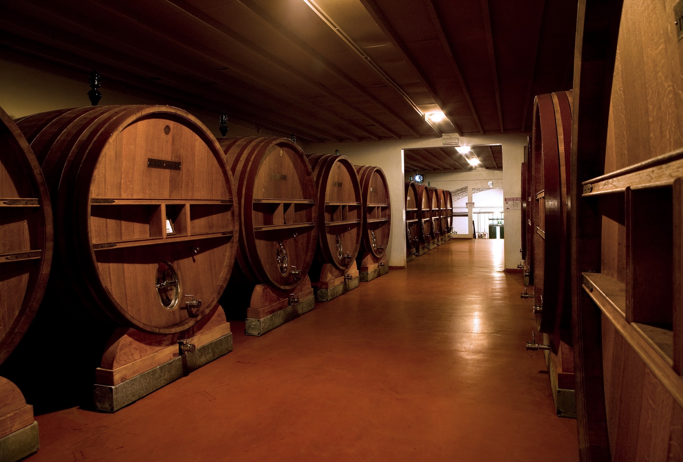 Cantina Lungarotti-Torgiano-1