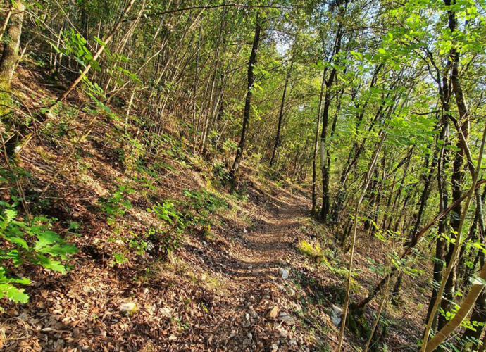 Greco-Sant’Anatolia-di-Narco-copertina