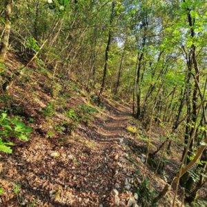 Luigi Greco - Sant'Anatolia di Narco