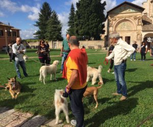 Passeggiata a 4 zampe