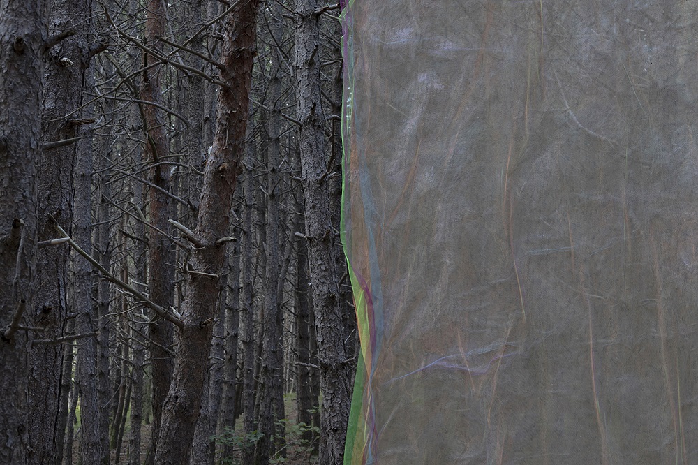 Alberonero-Monte Immagine-Roberto Conte-3