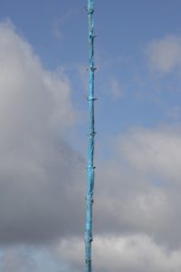 Alberonero-Monte Immagine-Roberto Conte-1