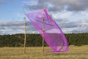 Alberonero-Monte-Immagine-Roberto-Conte-in